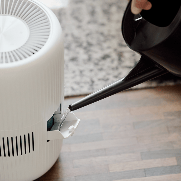 ecoQ HumidAir E600+: leistungsstarker Luftbefeuchter mit 650 ml/h Befeuchtungsleistung und 4 Betriebsstufen.