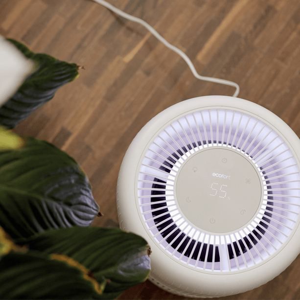 ecoQ HumidAir E600+ Luftbefeuchter mit 4 Betriebsstufen, Hygrostat und 7-farbigem Stimmungslicht.