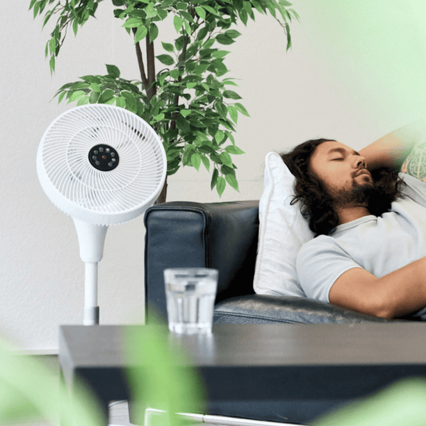 Hochleistungs Standventilator ecoQ SilentAir Uno mit Höhenverstellung und timer, ultra-leise im Betrieb.