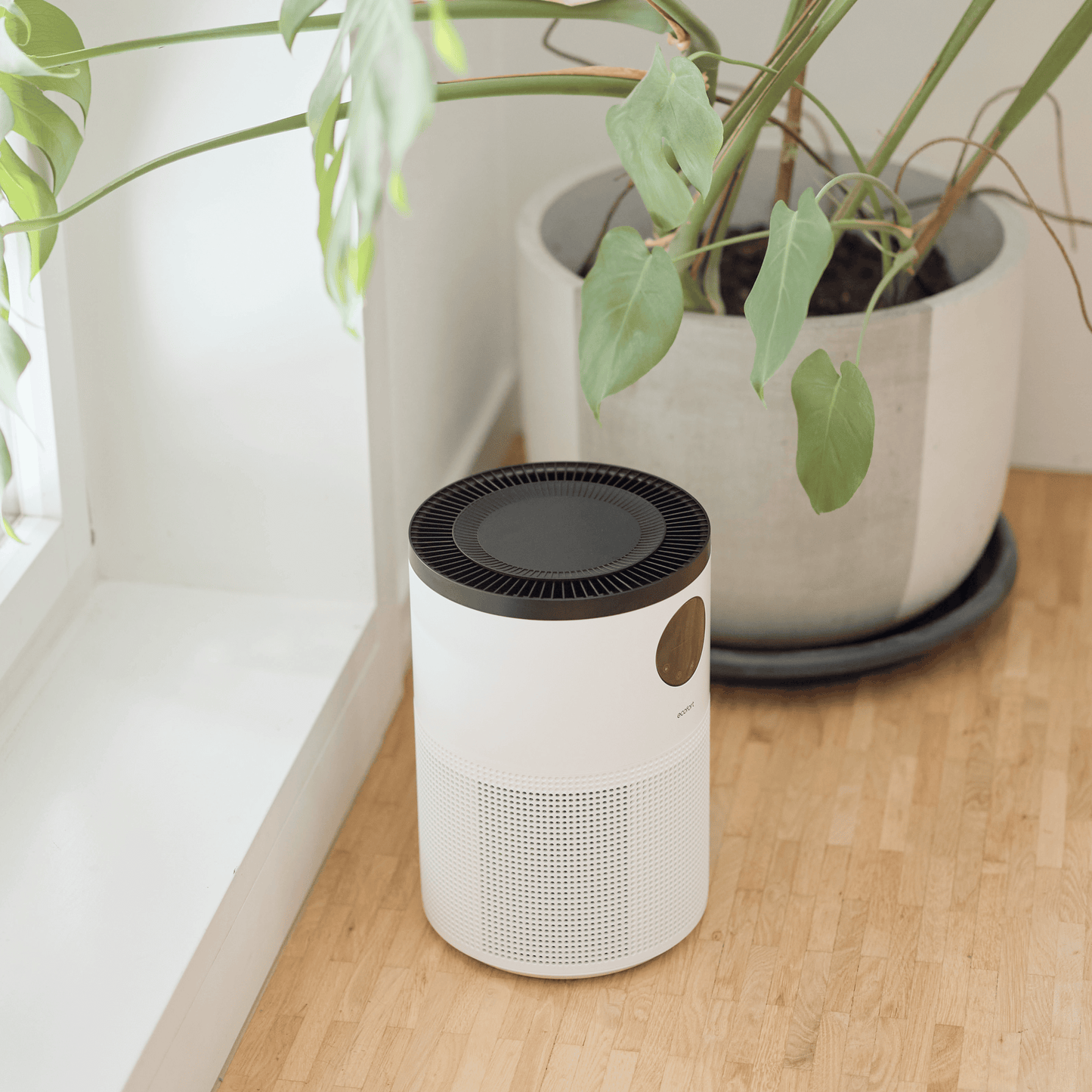 Luftreiniger ecoQ CleanAir 300+ mit Aktivkohlefilter und HEPA H13 für Allergiker geeignet.