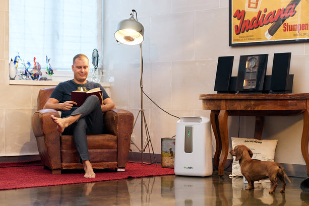 ecoQ DryAir 20L Luftentfeuchter mit Hygrostat, 20 l/24h Entfeuchtungsleistung, optimal für Räume bis 50 m².