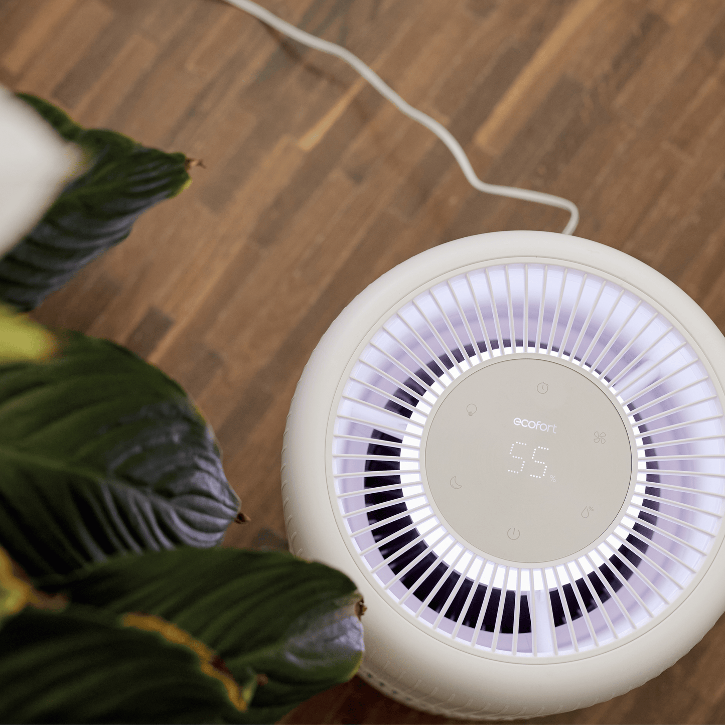 ecoQ HumidAir E600+ Luftbefeuchter mit 4 Betriebsstufen, Hygrostat und 7-farbigem Stimmungslicht.
