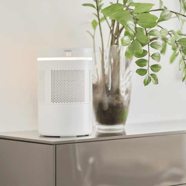 ecoQ E300+: Kompakter Befeuchter mit waschbarem Filter – ideal für kleine bis mittlere Räume. Flüsterleise & einfach zu reinigen.
