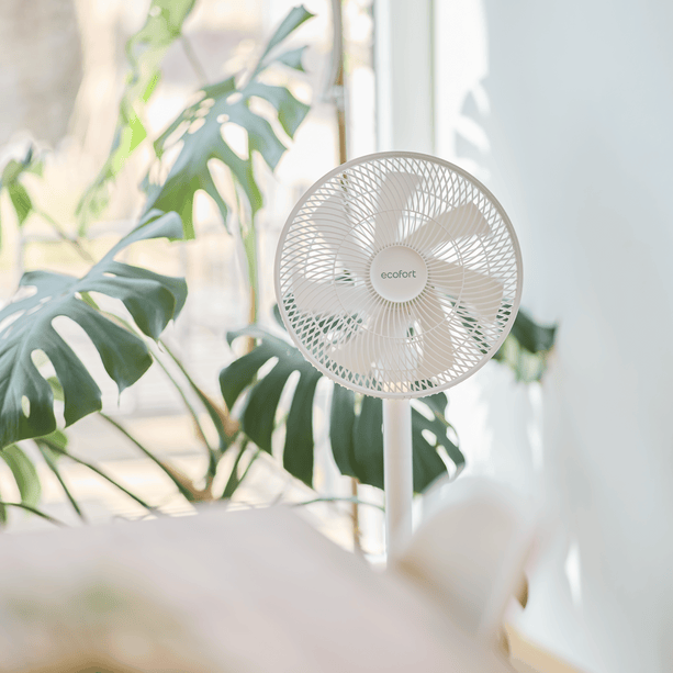 Angenehme Kühlung ohne Lärm: ecoQ SilentAir Due mit drei Steuerungsoptionen, leisem Betrieb und flexiblem Aufbau für jedes Zuhause.