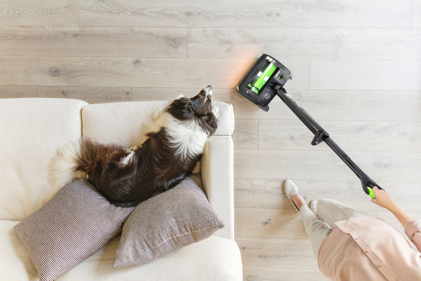 Kabelloser Gtech AirRam K9 Staubsauger optimiert für die Bodenreinigung von Tierhaaren.