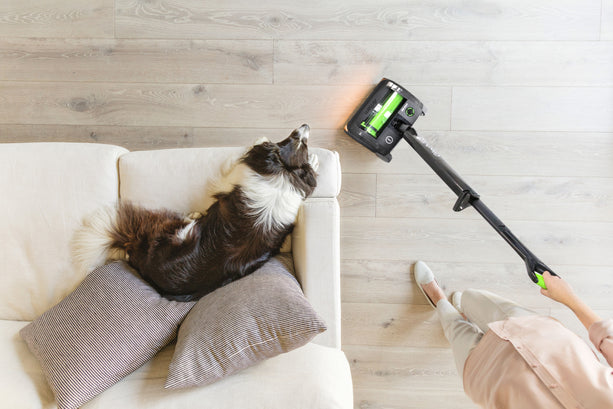 Kabelloser Gtech AirRam K9 Staubsauger optimiert für die Bodenreinigung von Tierhaaren.